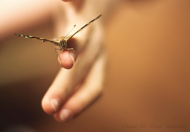 网站ddos隐藏源ip